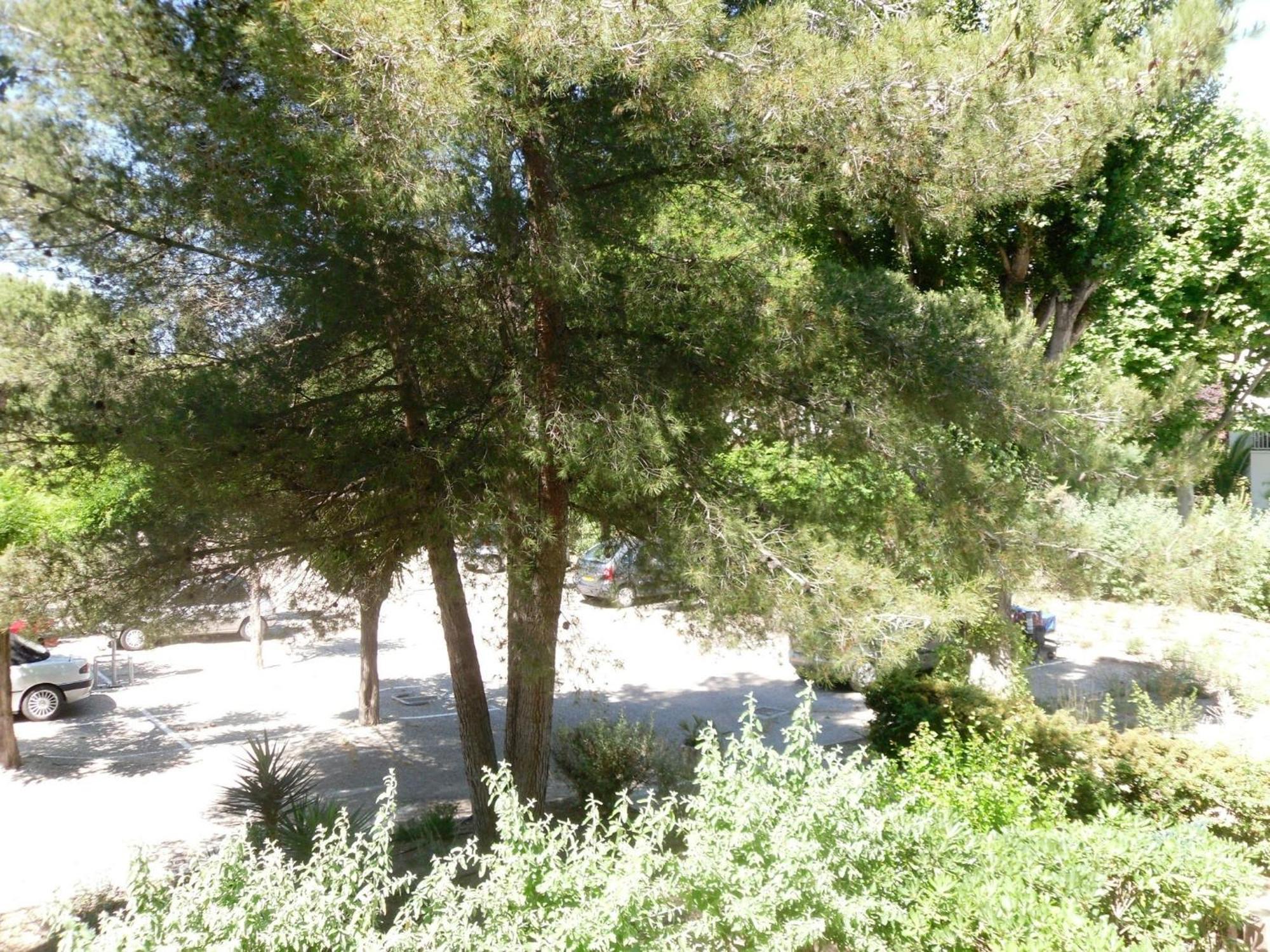 Vittoria Immobilier 1-Reglement Sur Place - Cheques Vacances Acceptes La Grande Motte Ruang foto